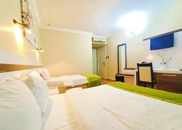 Отель Ceylan 2*