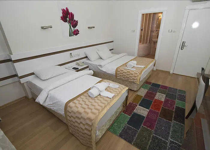 Отель Ceylan 2*